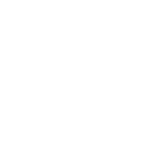 icon-image